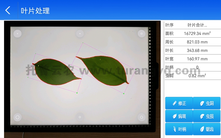 拍照式葉面積測(cè)量?jī)x軟件界面圖